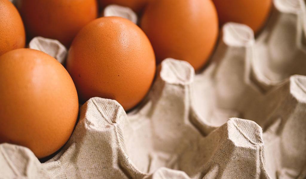 Pulp-And-Fiber-Egg-Carton