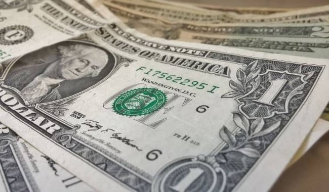 US-Dollar-Wire-Mesh