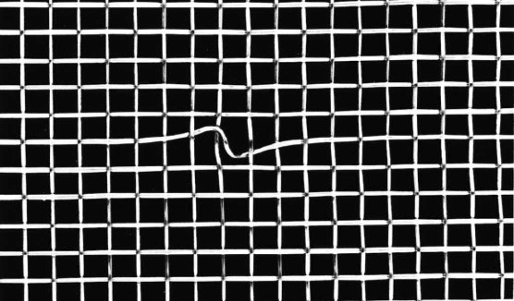 Wire-Mesh-Blemish
