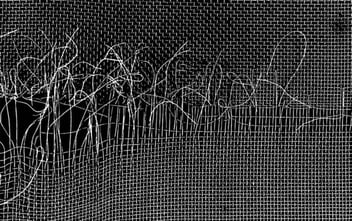 Woven-Wire-Mesh-Blemish