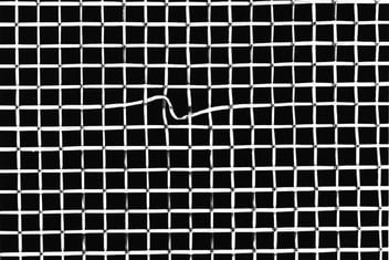 Woven-Wire-Mesh-Blemishes