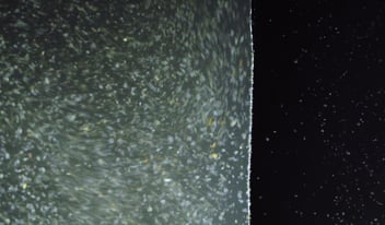 biofouling-desalination