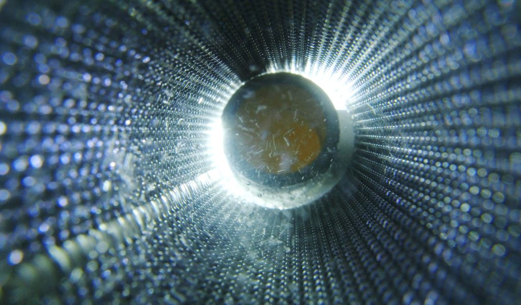 wire-mesh-wedge-wire-cylinder